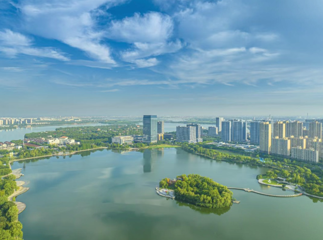 1765523927528298.png image.png